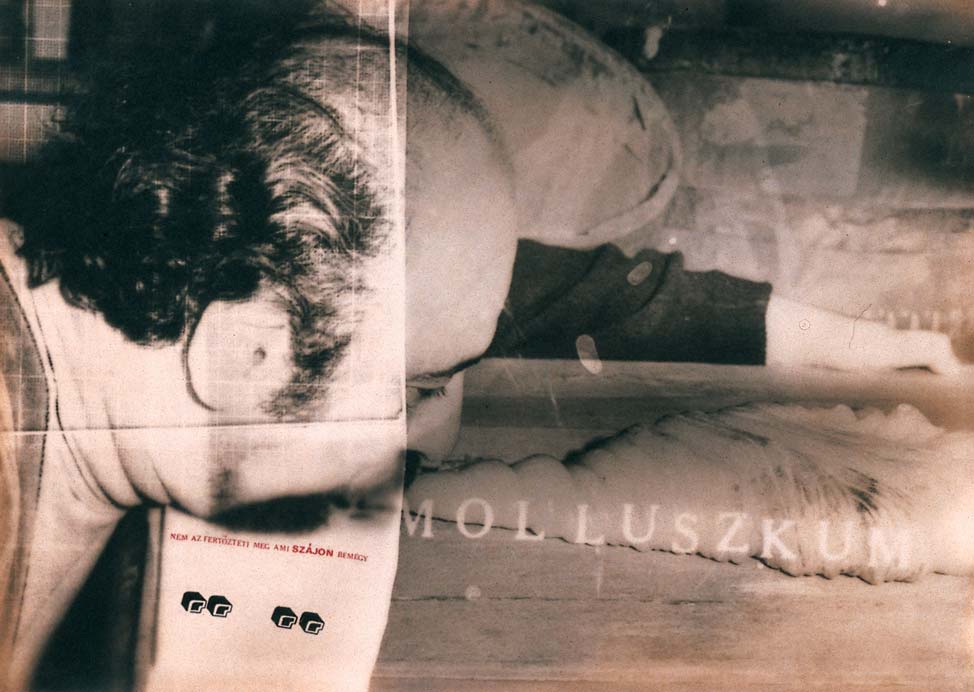 Erdély Miklós: Molluszkum, 1969–70