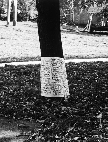 As part of Velem video project: György Galántai’s refunctioned tree-trunk covered with screen-printed material / A Velemi videómunka keretében: Galántai György írottmintás fatörzse, Velem, 1981.