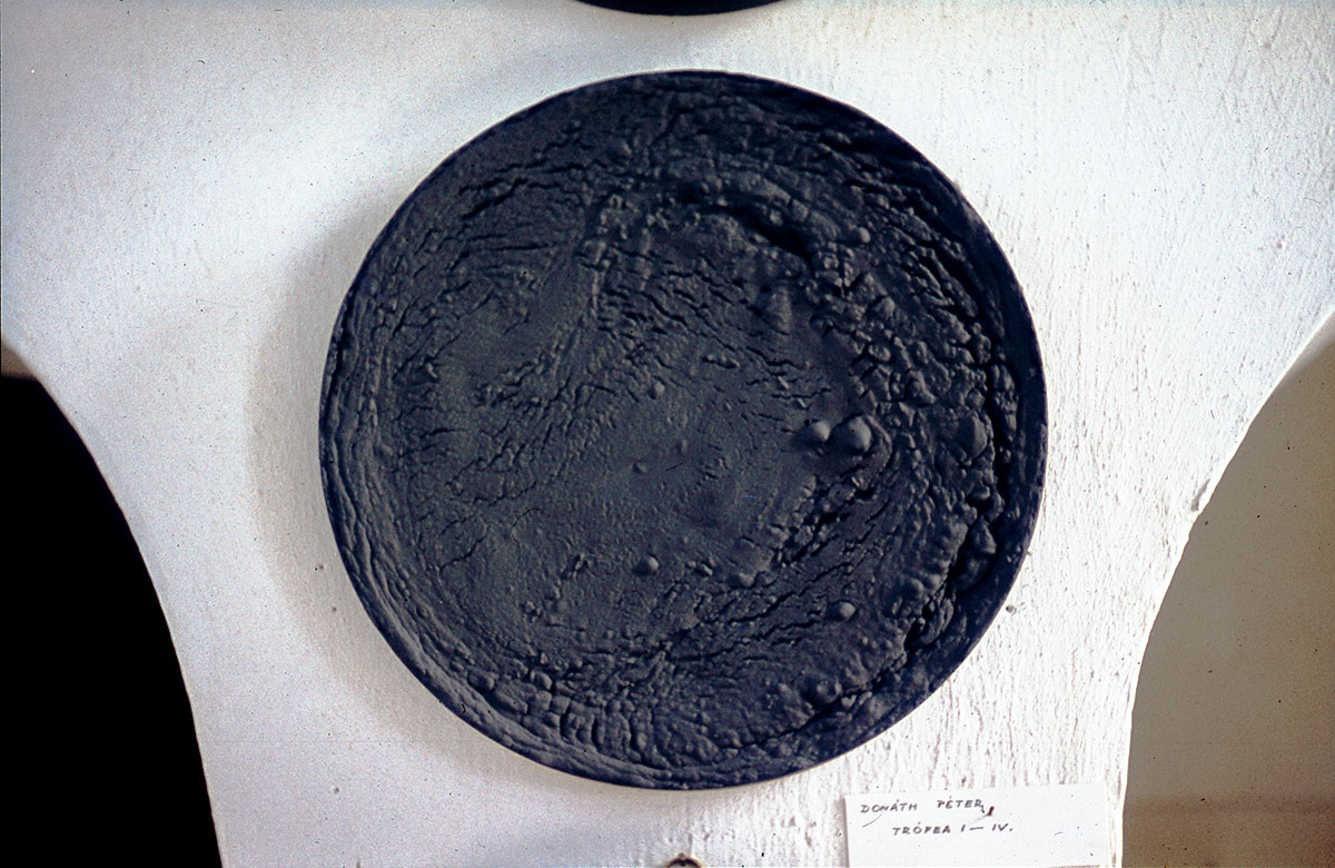 Donáth Péter, 1971