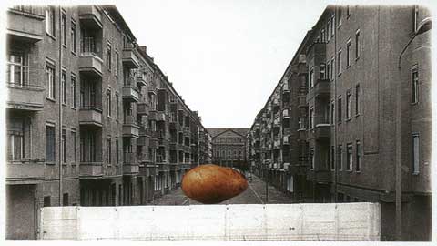 Work by Margolis & Schliesser