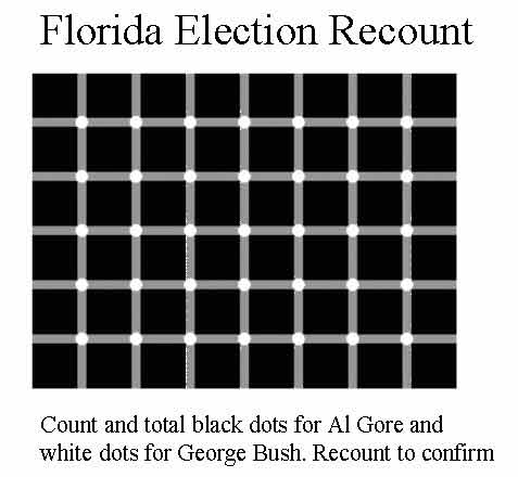 Florida Election Recount